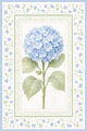 Image Not Available